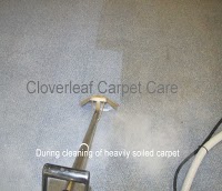 Cloverleaf Carpet Care 360502 Image 5